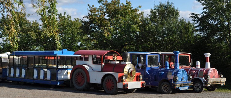 Fahrt ins Blaue zum Straußenparadies